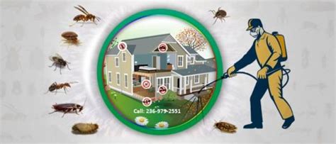 Pest Control Richmond, Mice, Fleas, Cockroach Pest Removal Richmond