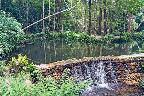 Tijuca Waterfalls and Caves Hike - Itaway Ecotours