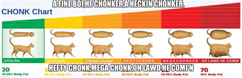 chonk chart - Imgflip