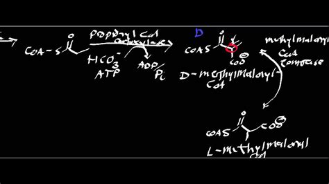 Biochemistry | What is Propionyl-S-CoA? - YouTube