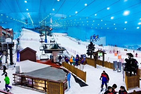 The Pros and Cons of Visiting Ski Dubai Snow Park: Is it Worth the Trip ...