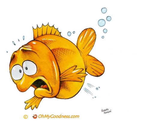 The farting fish ecard | Funny eCards - free animated greetings ...