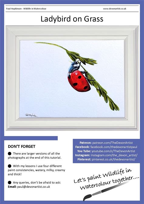 Watercolor Ladybug Painting Tutorial Ladybird Watercolour PDF | Etsy