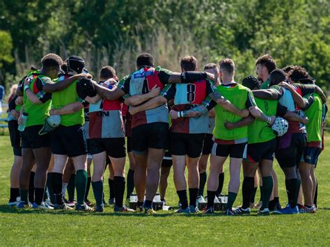 Dallas Harlequins Men's Rugby