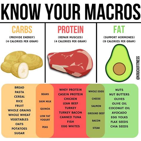 Have trouble finding certain foods to hit your macros? Look no further than here! -Here's a list ...