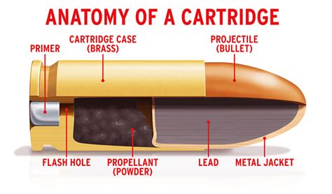 How Bullets Work - My Gun Culture