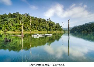 4,499 Perak River Images, Stock Photos & Vectors | Shutterstock