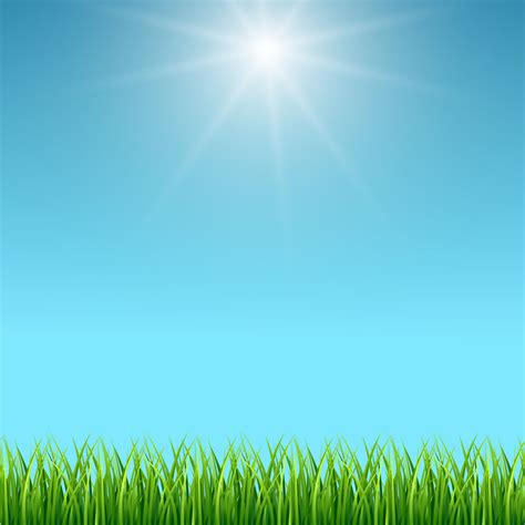 Clean blue sky and green grass vector background By Microvector | TheHungryJPEG