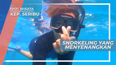 Snorkeling Menikmati Keindahan Bawah Laut Pulau Macan Kepulauan Seribu