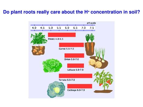 Soil acidity