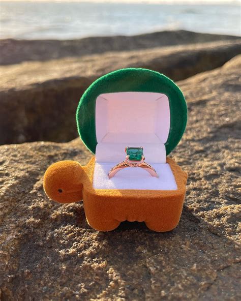 Got engaged today :) 💚🐢 : r/turtle