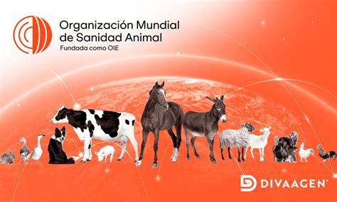 Organización Mundial de Sanidad Animal Archives - Divaagen