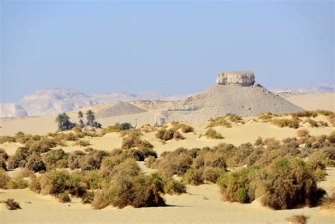 Landscape of the Western Desert Sahara, Egypt Stock Photo - Image of arid, african: 128420186