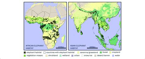 Where Do Elephants Live Map