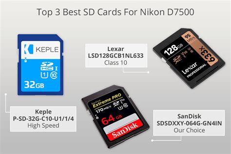 6 Best SD Cards For Nikon D7500 in 2024