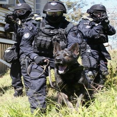 Tactical Service Dog Gear | Service Dog Training Equipment | Pro K9 Supplies