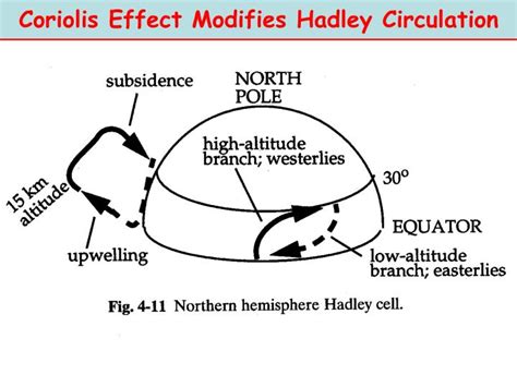 PPT - Coriolis Effect Modifies Hadley Circulation PowerPoint Presentation - ID:3090969