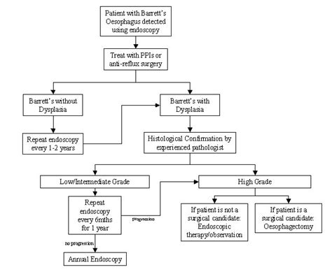 Revision:Barretts oesophagus - The Student Room