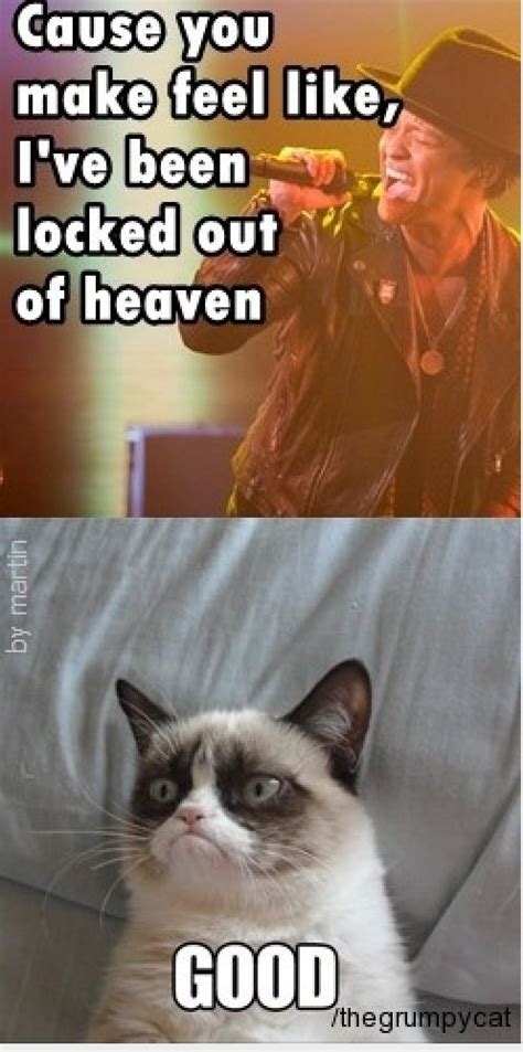 23++ Funny Mad Cat Memes - Factory Memes