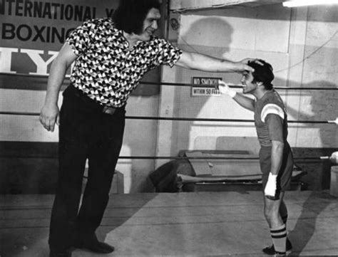 21 André The Giant Photos That Make The World Look Unbelievably Tiny