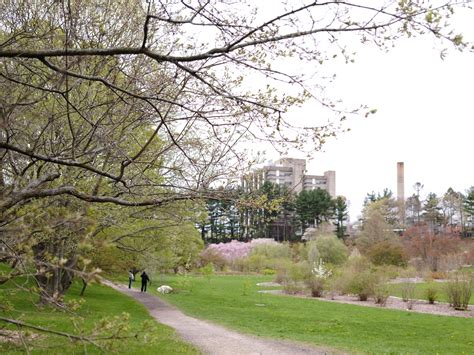 Harvard’s Arnold Arboretum Celebrates its 150th Anniversary | News | The Harvard Crimson