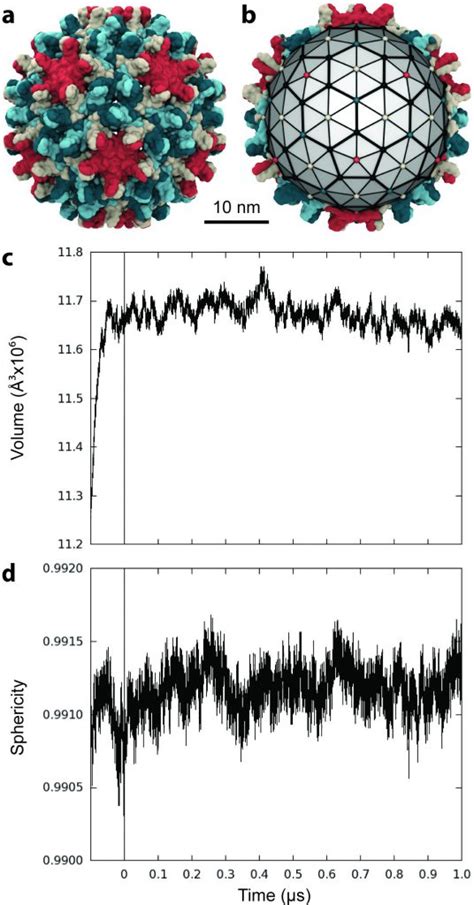 Hyperfine Hepatitis B Virus Capsid Atom Interaction Exposure – Creative Biostructure Blog