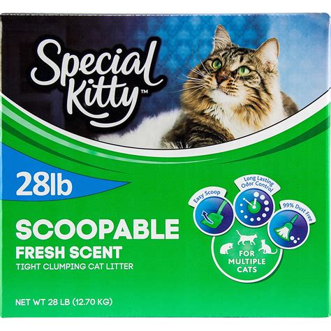 Special Kitty Scoopable Tight Clumping Cat Litter, Fresh Scent, 28 lb - Walmart.com