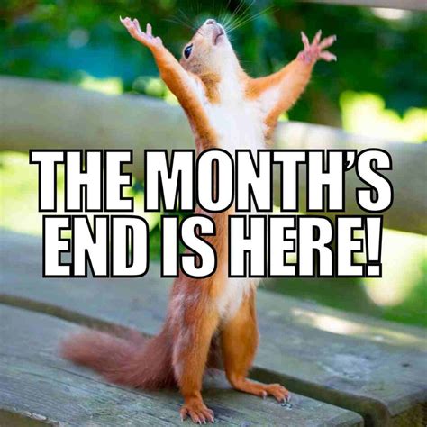 End of the Month Memes: Bringing Humor to the Final Countdown