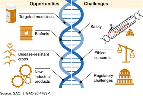 Ethical Issues Of Genetic Modification / Https Www Aclr Com Es Clinical Research Effects Of ...