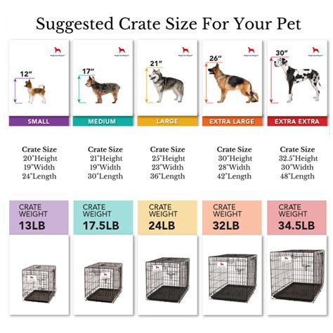 What Size Dog Crate For An Australian Shepherd?