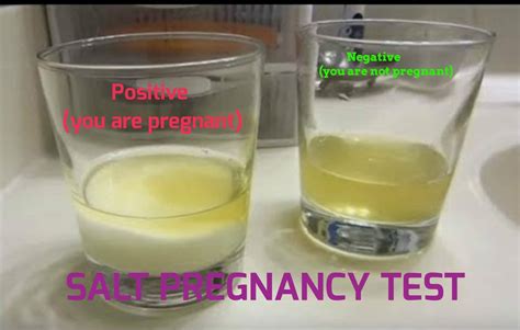 How does pregnancy urine look like?