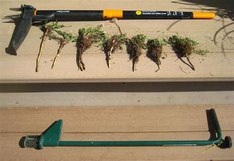 Product review: Weed-pulling tools - Susan's in the Garden