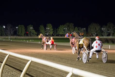 Cal Expo Harness Racing Schedule 2024 - Edythe Vivian