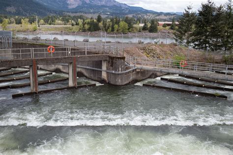 Water Log: Dams and Fish Ladders, Columbia and Snake Rivers