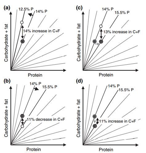 The AMDR for Protein: Acceptable vs Optimal | Optimising Nutrition