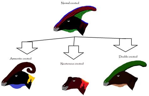 Parasaur crest ideas by Avisrex on DeviantArt