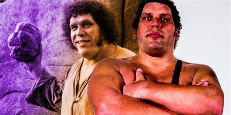 Andre The Giant And Arnold Schwarzenegger