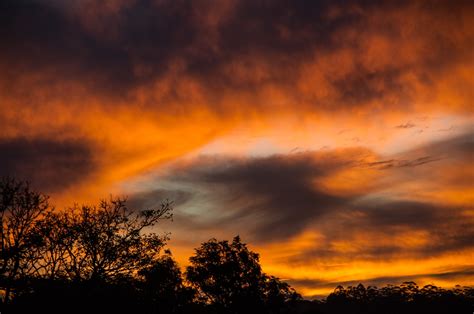 Orange Black and White Sunset View · Free Stock Photo