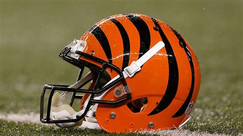 Vikings to Have Joint Practice Against 'Similar' Team in Bengals