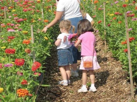 Read & Pick: Flowers - Terhune Orchards