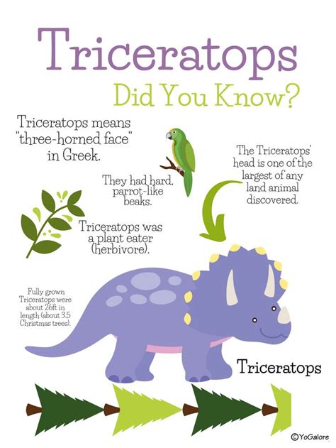 Dinosaur Printables: Fact Posters and Cards | Dinosaur activities, Dinosaur facts for kids ...