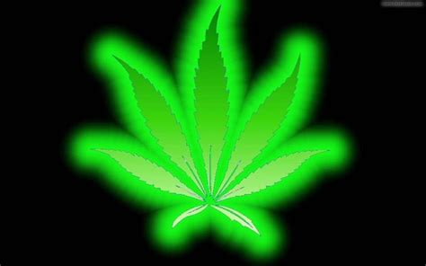 Hot Pink Weed Wallpapers on WallpaperDog