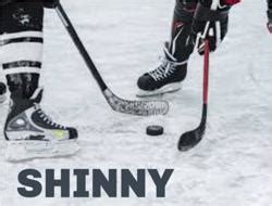 Shinny Hockey