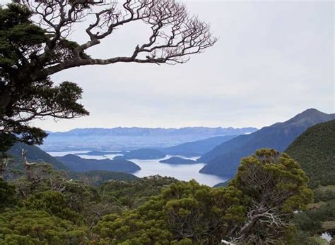 Queenstown Hiking Guide: The BEST Hikes & Walks for Your Adventure