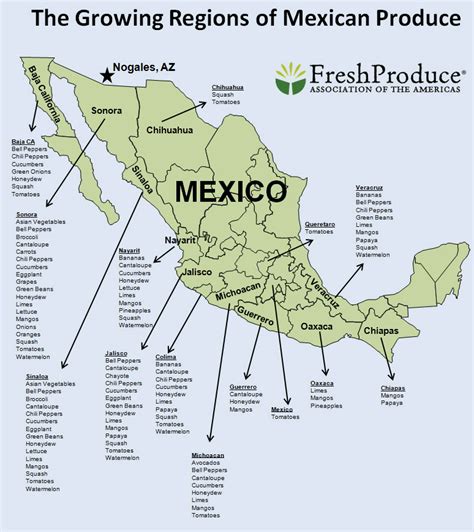 Mexico: Protected Agriculture and Farm Labor - Rural Migration Blog ...