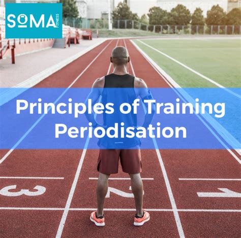 Principles of Training- Periodisation | Soma Fitness Personal Training