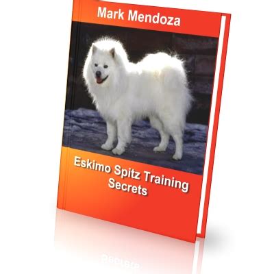 American Eskimo Dog Training Secrets - How To Train a American Eskimo Dog