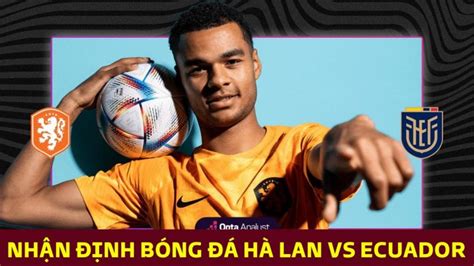 Nhận định bóng đá Hà Lan vs Ecuador, bảng A World Cup 2022: Cơn lốc màu da cam độc chiếm ngôi đầu?