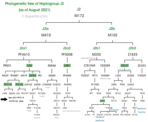 Haplogroup J2 (Y-DNA) - Eupedia