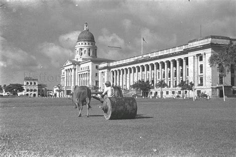 THE PADANG | History of singapore, Singapore photos, Singapore